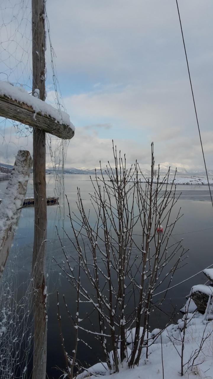 Prima Lofoten Myrland Exterior foto